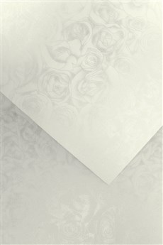 Galeria Papieru ozdobný papír Růže bílá 250g, 20ks