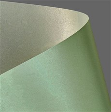 Galeria Papieru ozdobný papír Prime zelená/ivory 220g, 20ks