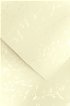 Galeria Papieru ozdobný papír Liana ivory 230g, 20ks