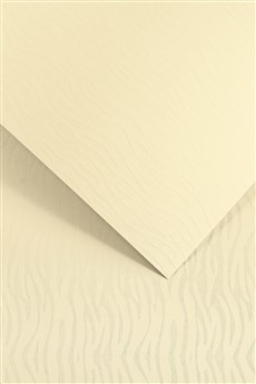 Galeria Papieru ozdobný papír Pacific ivory 200g, 20ks